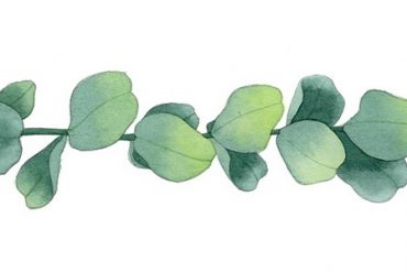 小喷喷企业支付宝收款码丨佛山小小科技有限公司